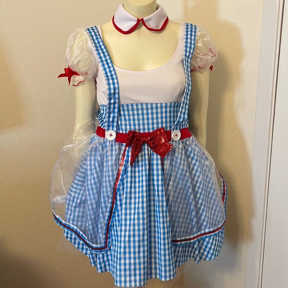 Dorothy costume size small / medium with extras